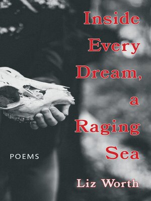 cover image of Inside Every Dream, a Raging Sea